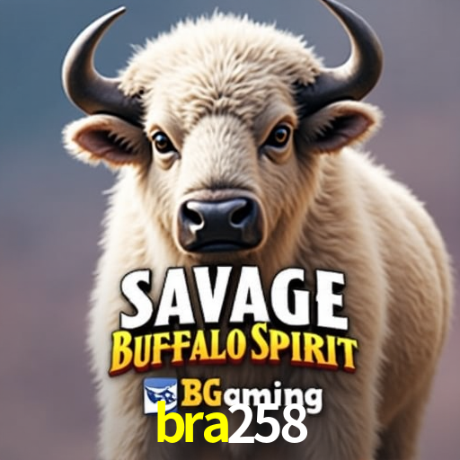 Descubra a Essência do bra258: Nossa História e Compromissos