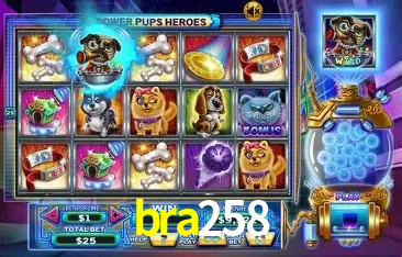 Experiência VIP bra258